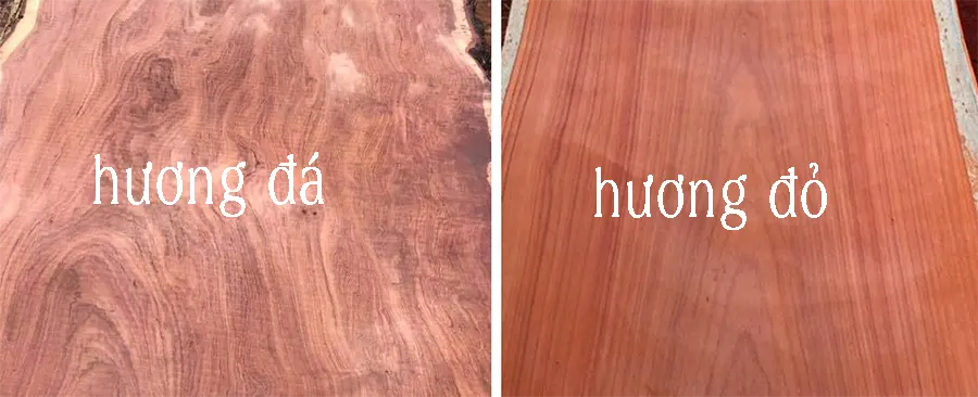 title% phần biệt gỗ hương đá và gỗ hương đỏ