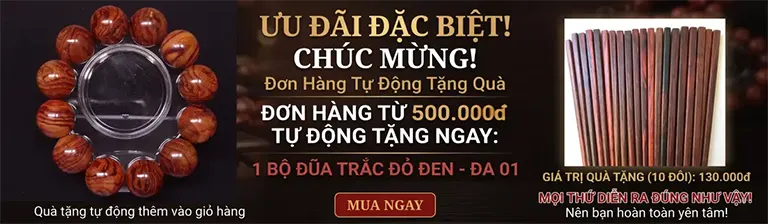 khuyến mãi đũa trắc